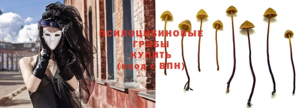 ALPHA PVP Нефтекумск